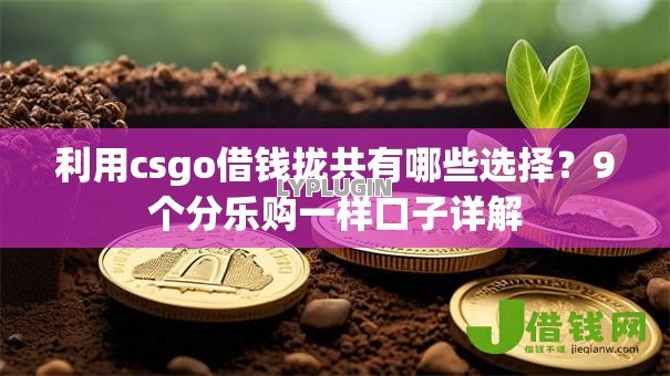 利用csgo借钱拢共有哪些选择？9个分乐购一样口子详解