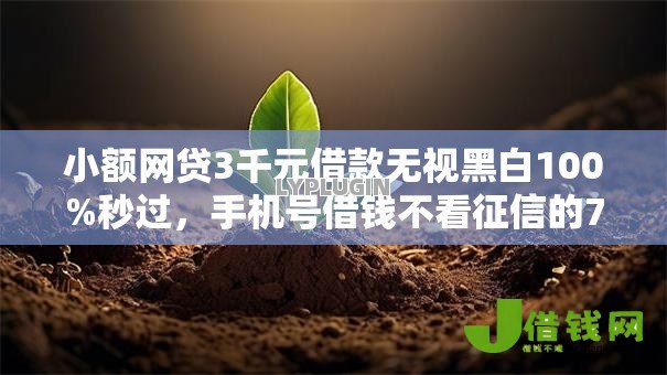 小额网贷3千元借款无视黑白100%秒过,手机号借钱不看征信的7个平台介绍 小额网贷3千元借款无视黑白100%秒过,手机号借钱不看征信的7个平台介绍