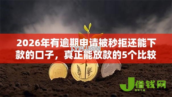 2026年有逾期申请被秒拒还能下款的口子,真正能放款的5个比较靠谱的借钱软件推荐 2026年有逾期申请被秒拒还能下款的口子,真正能放款的5个比较靠谱的借钱软件推荐