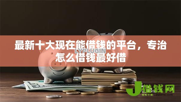 最新十大现在能借钱的平台,专治怎么借钱最好借 最新十大现在能借钱的平台,专治怎么借钱最好借