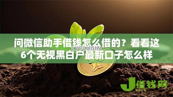 问微信助手借钱怎么借的?看看这6个无视黑白户最新口子怎么样 问微信助手借钱怎么借的?看看这6个无视黑白户最新口子怎么样