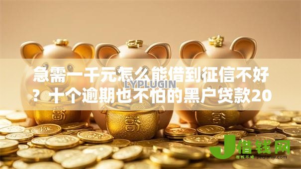 急需一千元怎么能借到征信不好?十个逾期也不怕的黑户贷款2025新口子 急需一千元怎么能借到征信不好?十个逾期也不怕的黑户贷款2025新口子