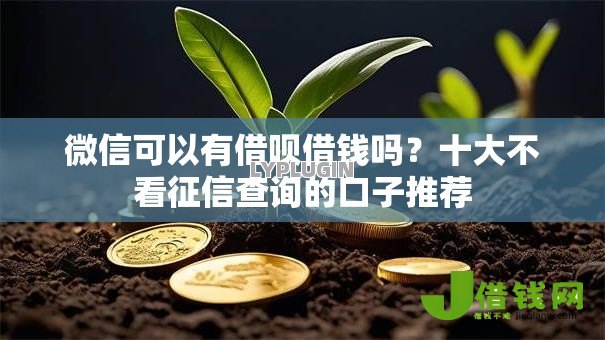 微信可以有借呗借钱吗？十大不看征信查询的口子推荐