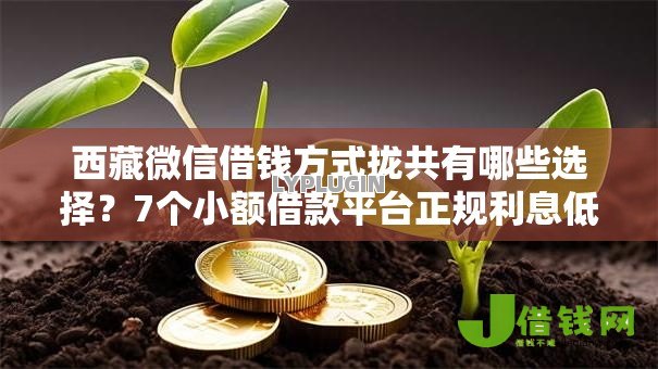 西藏微信借钱方式拢共有哪些选择？7个小额借款平台正规利息低详解