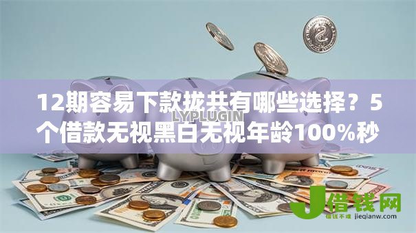 12期容易下款拢共有哪些选择？5个借款无视黑白无视年龄100%秒过app详解