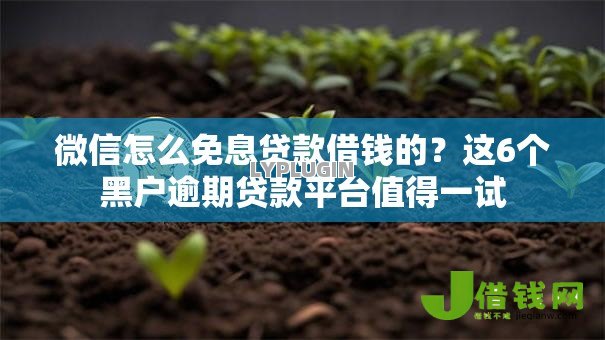 微信怎么免息贷款借钱的？这6个黑户逾期贷款平台值得一试