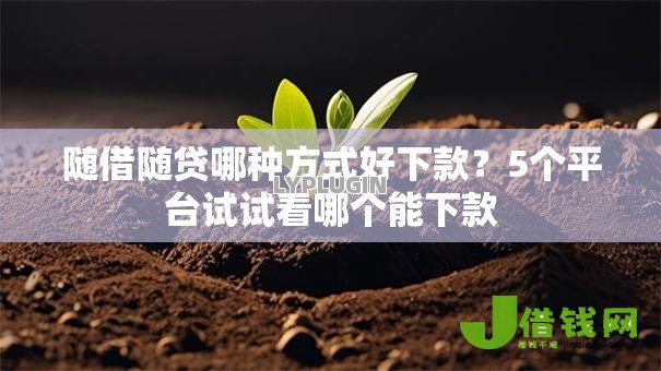 随借随贷哪种方式好下款?5个平台试试看哪个能下款 随借随贷哪种方式好下款?5个平台试试看哪个能下款