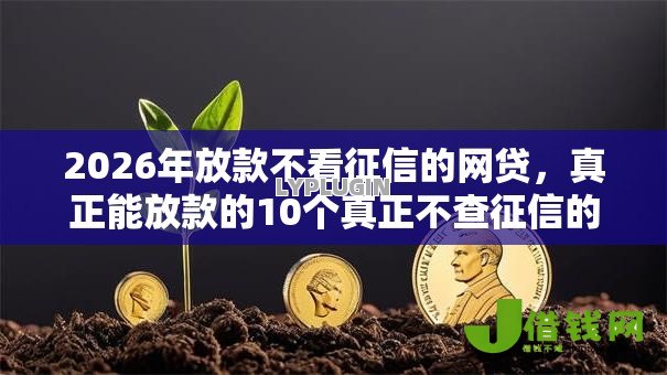 2026年放款不看征信的网贷,真正能放款的10个真正不查征信的贷款软件推荐 2026年放款不看征信的网贷,真正能放款的10个真正不查征信的贷款软件推荐