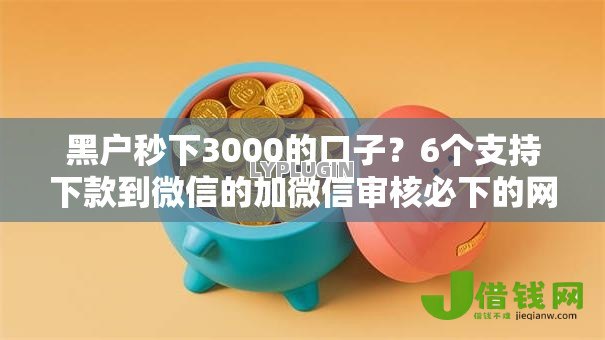 黑户秒下3000的口子？6个支持下款到微信的加微信审核必下的网贷平台