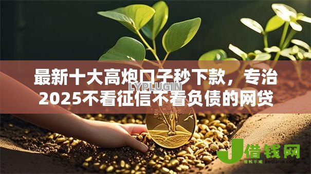最新十大高炮口子秒下款,专治2025不看征信不看负债的网贷 最新十大高炮口子秒下款,专治2025不看征信不看负债的网贷