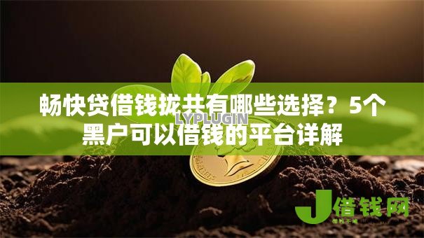 畅快贷借钱拢共有哪些选择？5个黑户可以借钱的平台详解