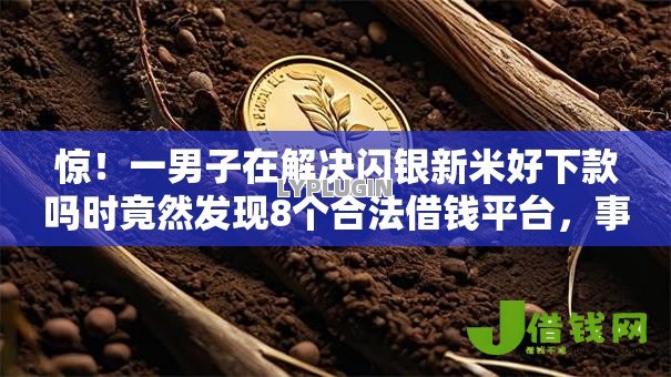 惊！一男子在解决闪银新米好下款吗时竟然发现8个合法借钱平台，事后分享了出来