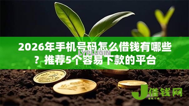 2026年手机号码怎么借钱有哪些?推荐5个容易下款的平台 2026年手机号码怎么借钱有哪些?推荐5个容易下款的平台
