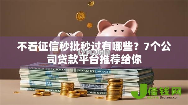 不看征信秒批秒过有哪些？7个公司贷款平台推荐给你
