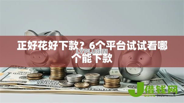 正好花好下款？6个平台试试看哪个能下款