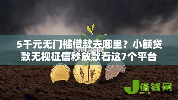 5千元无门槛借款去哪里？小额贷款无视征信秒放款看这7个平台