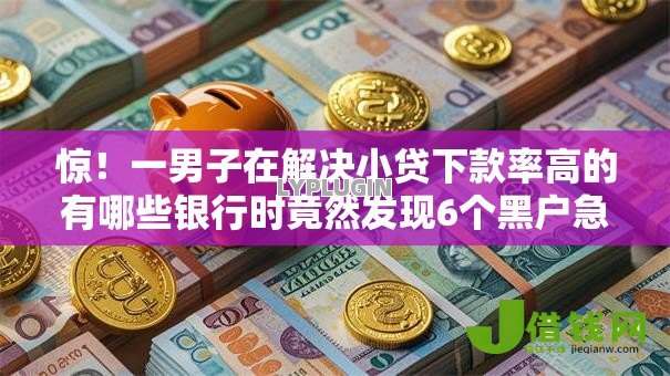 惊！一男子在解决小贷下款率高的有哪些银行时竟然发现6个黑户急需三万秒到的的口子，事后分享了出来