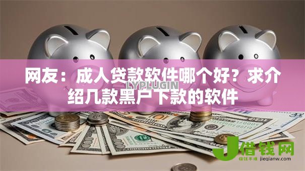 网友：成人贷款软件哪个好？求介绍几款黑户下款的软件