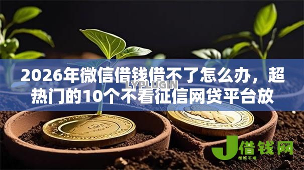 2026年微信借钱借不了怎么办,超热门的10个不看征信网贷平台放款快的软件推荐 2026年微信借钱借不了怎么办,超热门的10个不看征信网贷平台放款快的软件推荐