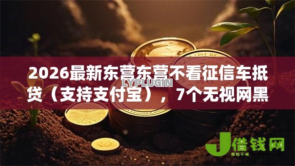 2026最新东营东营不看征信车抵贷（支持支付宝），7个无视网黑征信黑3万贷款秒款app名单无私分享