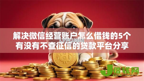 解决微信经营账户怎么借钱的5个有没有不查征信的贷款平台分享