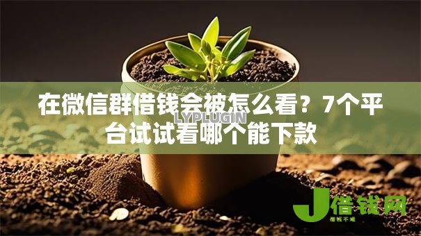 在微信群借钱会被怎么看?7个平台试试看哪个能下款 在微信群借钱会被怎么看?7个平台试试看哪个能下款