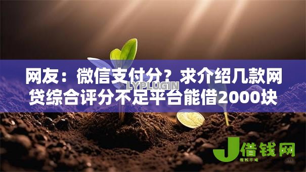 网友:微信支付分?求介绍几款网贷综合评分不足平台能借2000块急用 网友:微信支付分?求介绍几款网贷综合评分不足平台能借2000块急用