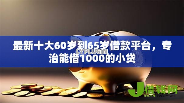 最新十大60岁到65岁借款平台，专治能借1000的小贷