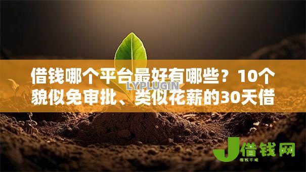 借钱哪个平台最好有哪些?10个貌似免审批、类似花薪的30天借款平台合集 借钱哪个平台最好有哪些?10个貌似免审批、类似花薪的30天借款平台合集