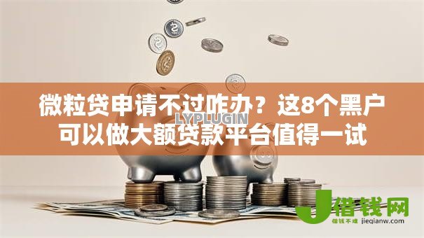 微粒贷申请不过咋办？这8个黑户可以做大额贷款平台值得一试