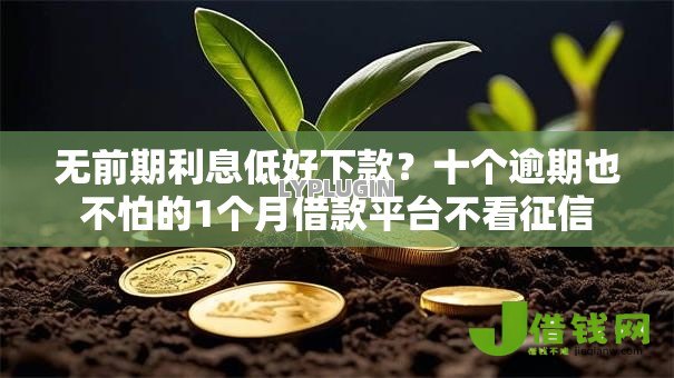 无前期利息低好下款？十个逾期也不怕的1个月借款平台不看征信
