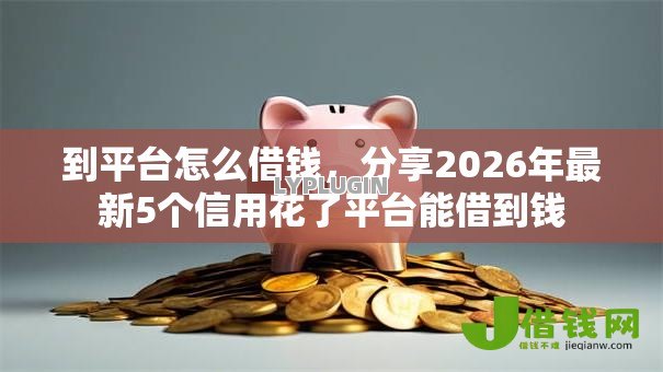 到平台怎么借钱，分享2026年最新5个信用花了平台能借到钱