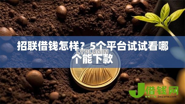 招联借钱怎样?5个平台试试看哪个能下款 招联借钱怎样?5个平台试试看哪个能下款