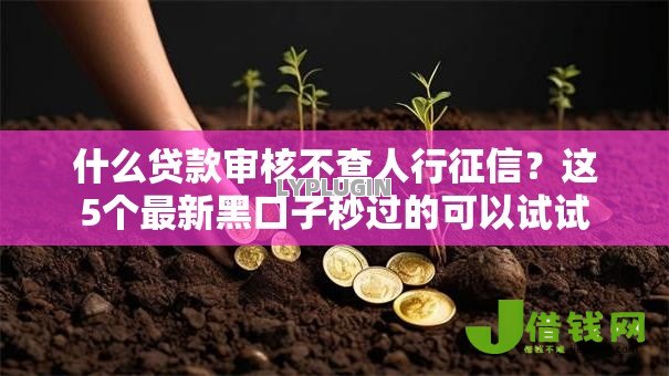 什么贷款审核不查人行征信？这5个最新黑口子秒过的可以试试