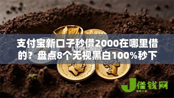 支付宝新口子秒借2000在哪里借的?盘点8个无视黑白100%秒下网贷平台给你参考 支付宝新口子秒借2000在哪里借的?盘点8个无视黑白100%秒下网贷平台给你参考