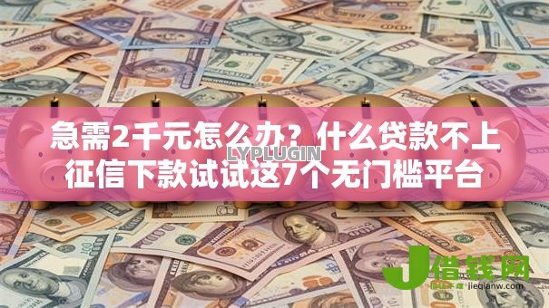 急需2千元怎么办?什么贷款不上征信下款试试这7个无门槛平台 急需2千元怎么办?什么贷款不上征信下款试试这7个无门槛平台