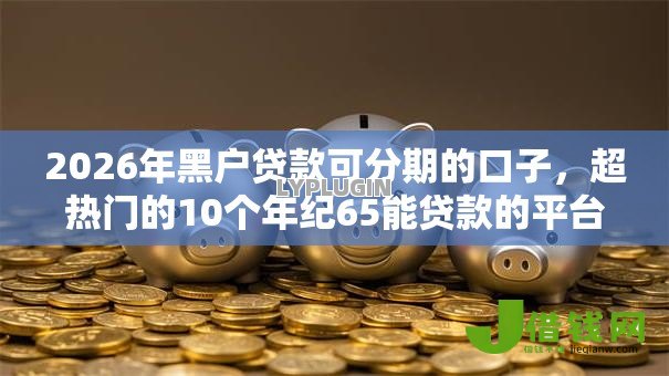 2026年黑户贷款可分期的口子,超热门的10个年纪65能贷款的平台推荐 2026年黑户贷款可分期的口子,超热门的10个年纪65能贷款的平台推荐