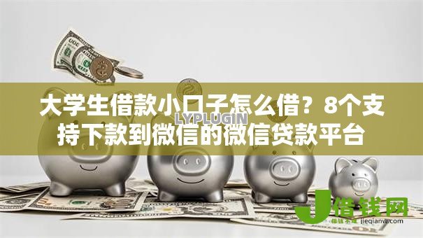 大学生借款小口子怎么借？8个支持下款到微信的微信贷款平台