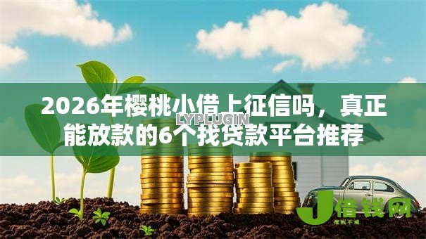 2026年樱桃小借上征信吗，真正能放款的6个找贷款平台推荐