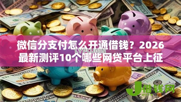 微信分支付怎么开通借钱?2026最新测评10个哪些网贷平台上征信 微信分支付怎么开通借钱?2026最新测评10个哪些网贷平台上征信