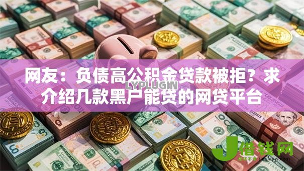 网友:负债高公积金贷款被拒?求介绍几款黑户能贷的网贷平台 网友:负债高公积金贷款被拒?求介绍几款黑户能贷的网贷平台