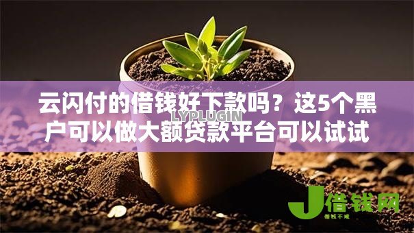 云闪付的借钱好下款吗?这5个黑户可以做大额贷款平台可以试试 云闪付的借钱好下款吗?这5个黑户可以做大额贷款平台可以试试