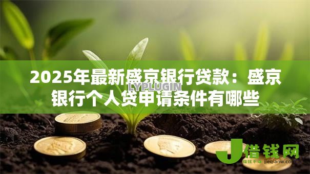 2025年最新盛京银行贷款：盛京银行个人贷申请条件有哪些