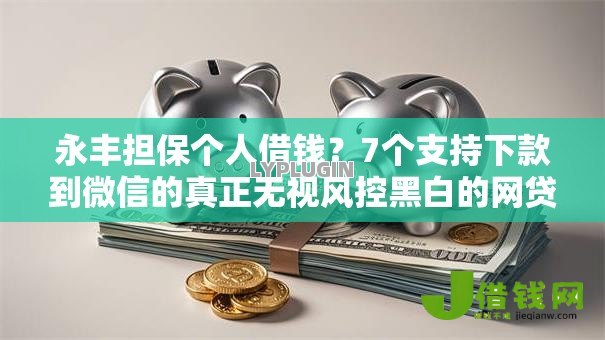 永丰担保个人借钱?7个支持下款到微信的真正无视风控黑白的网贷口子 永丰担保个人借钱?7个支持下款到微信的真正无视风控黑白的网贷口子