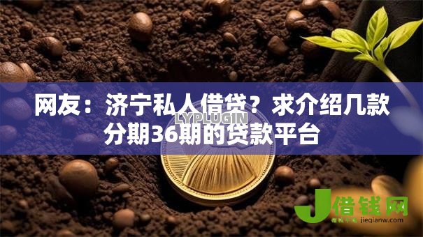 网友：济宁私人借贷？求介绍几款分期36期的贷款平台