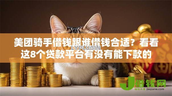 美团骑手借钱跟谁借钱合适？看看这8个贷款平台有没有能下款的
