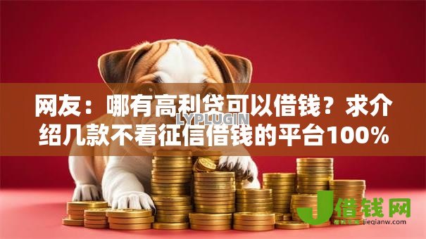 网友：哪有高利贷可以借钱？求介绍几款不看征信借钱的平台100%能借到