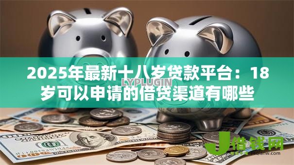 2025年最新十八岁贷款平台:18岁可以申请的借贷渠道有哪些 2025年最新十八岁贷款平台:18岁可以申请的借贷渠道有哪些