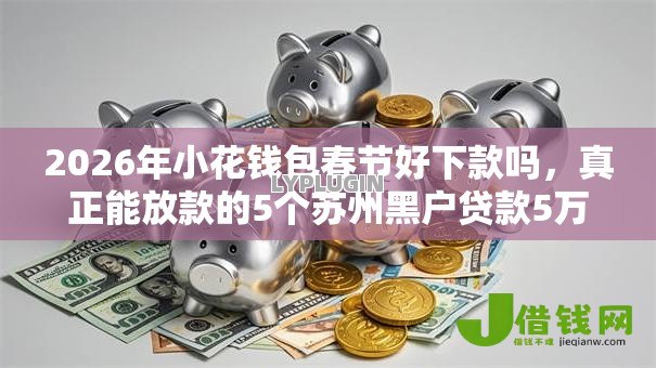 2026年小花钱包春节好下款吗,真正能放款的5个苏州黑户贷款5万的软件推荐 2026年小花钱包春节好下款吗,真正能放款的5个苏州黑户贷款5万的软件推荐