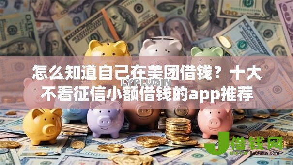 怎么知道自己在美团借钱？十大不看征信小额借钱的app推荐